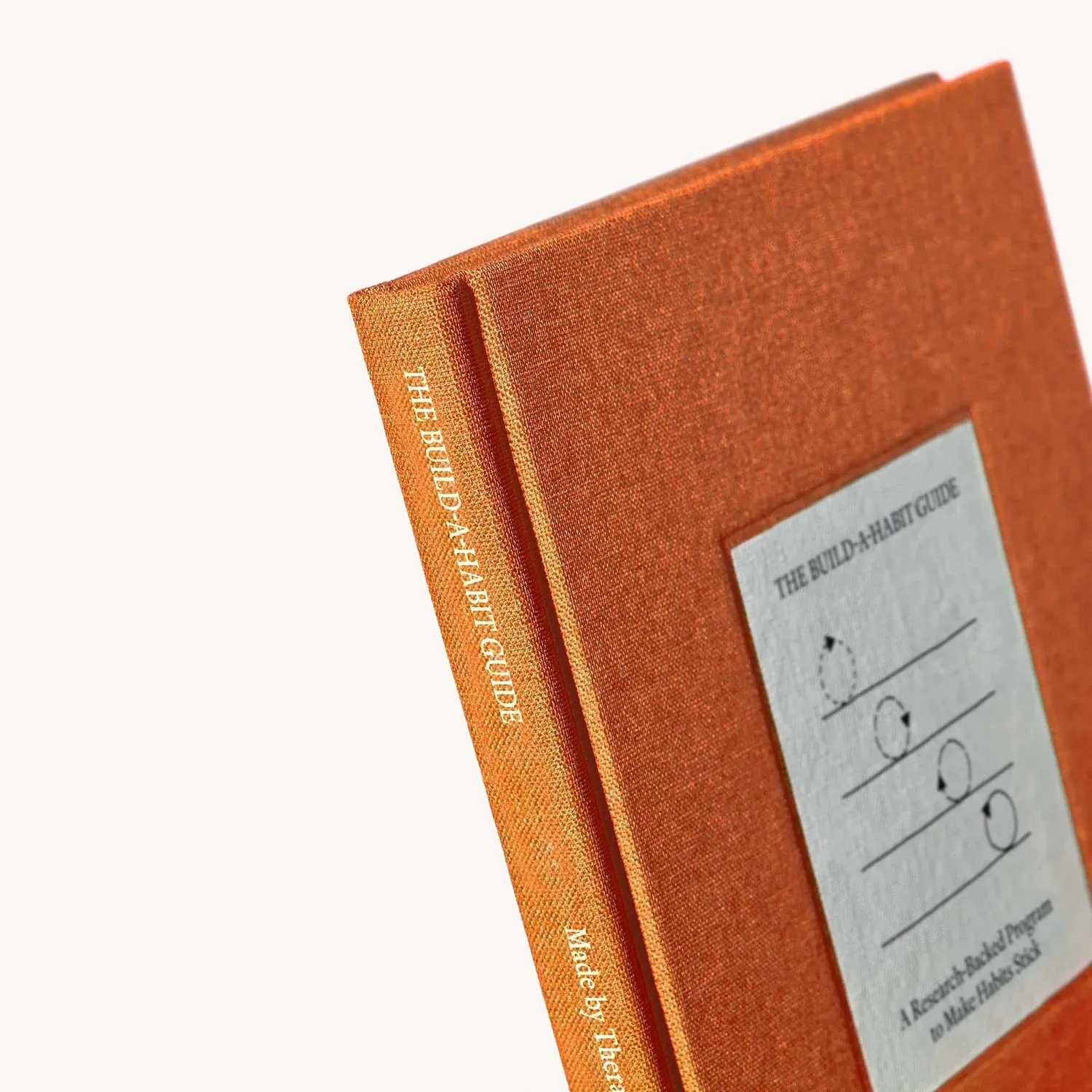 The Build-a-Habit Guide: A Research-Backed Program to Make Habits Stick